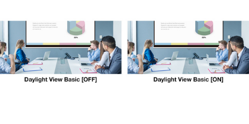 Daylight View Basic 