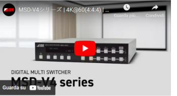 Video MSD-V4